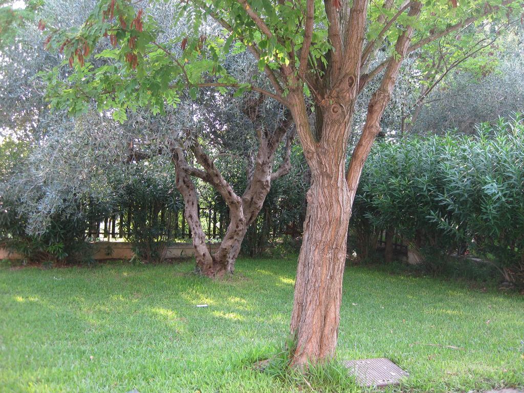 Bed and Breakfast Caputaquis Capaccio Екстер'єр фото